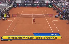  德约科维奇访谈 